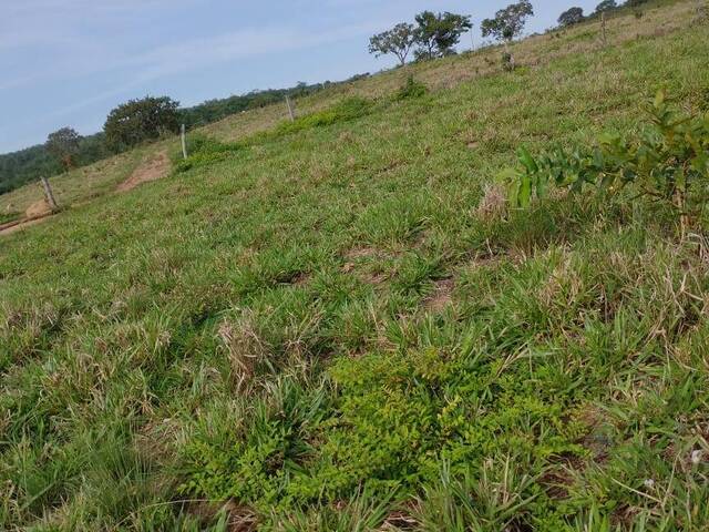 #1693 - Fazenda para Venda em Pindorama do Tocantins - TO - 3