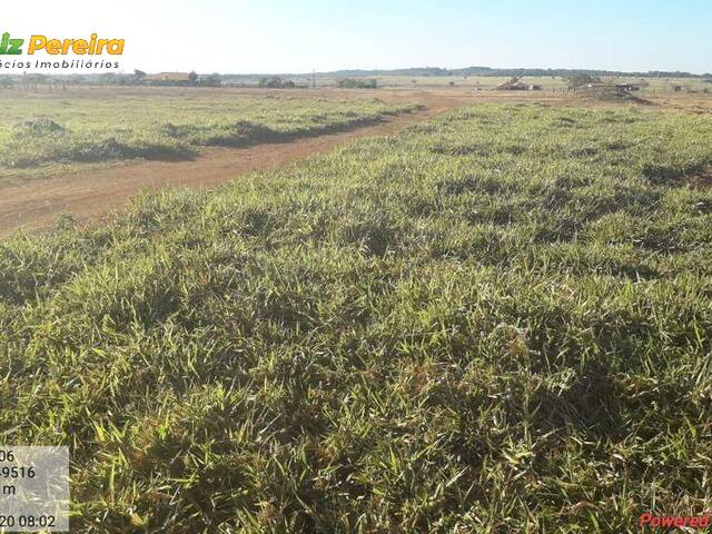 #2293 - Fazenda para Venda em Conceição do Araguaia - PA - 3