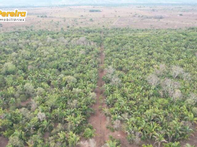 #2352 - Fazenda para Venda em Rio Maria - PA - 2