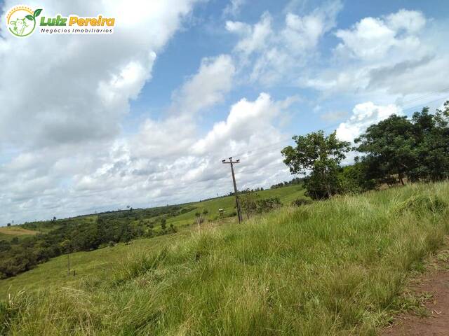 #2356 - Fazenda para Venda em Tomé-Açu - PA - 3