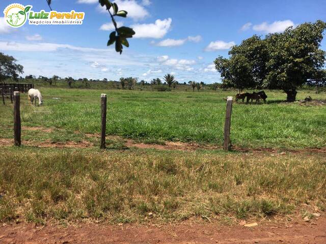 #2359 - Fazenda para Venda em Rio Maria - PA - 2