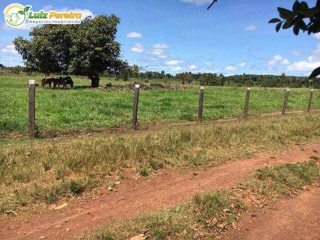 #2359 - Fazenda para Venda em Rio Maria - PA - 3