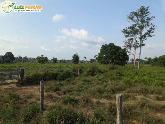 #2360 - Fazenda para Venda em Tucuruí - PA - 3