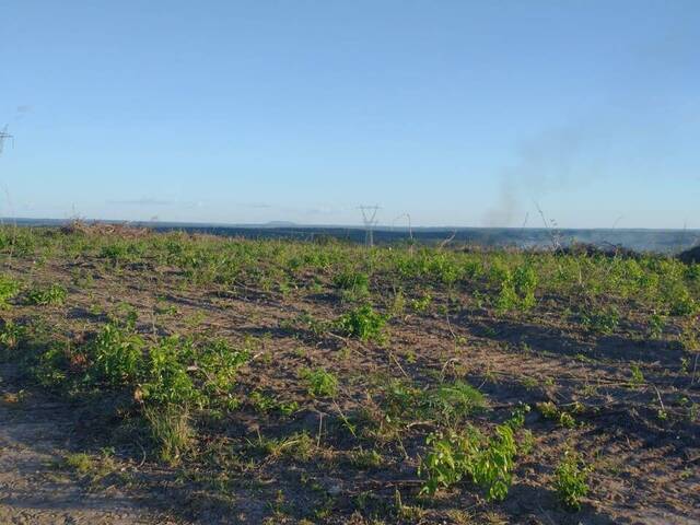 #2377 - Fazenda para Venda em Matões - MA - 3