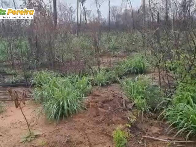 #2404 - Fazenda para Venda em Matupá - MT - 2