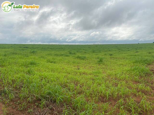 #2410 - Fazenda para Venda em Piraquê - TO - 2