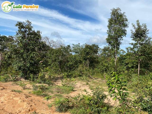 #2411 - Fazenda para Venda em São Francisco do Maranhão - MA - 2