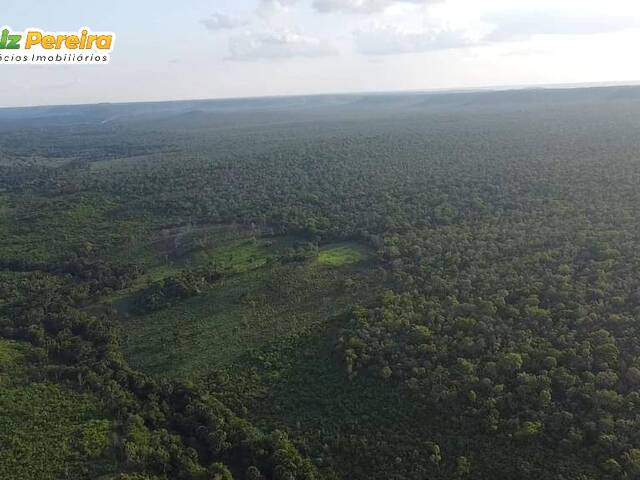 #2426 - Fazenda para Venda em Mirador - MA - 3