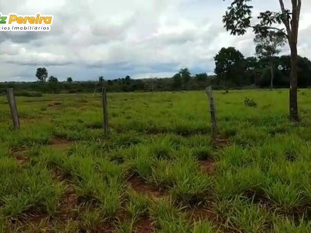 #2414 - Fazenda para Venda em Piraquê - TO - 2