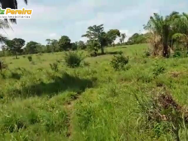 #2418 - Fazenda para Venda em Conceição do Araguaia - PA - 2