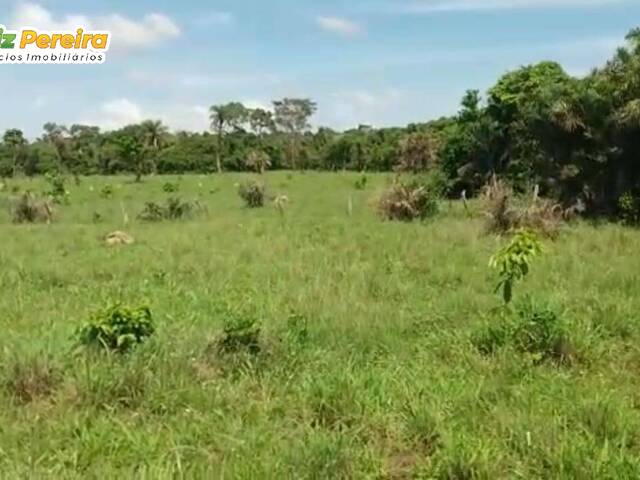 #2418 - Fazenda para Venda em Conceição do Araguaia - PA - 3