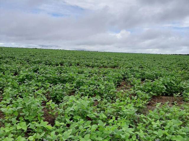 #2496 - Fazenda para Venda em Riachão das Neves - BA - 3