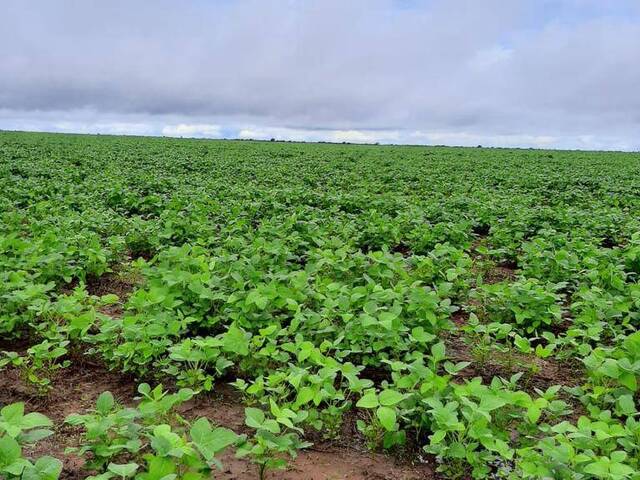 #2496 - Fazenda para Venda em Riachão das Neves - BA - 2