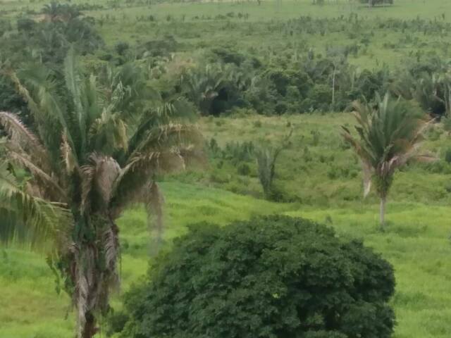 #2535 - Fazenda para Venda em São Domingos do Araguaia - PA - 2