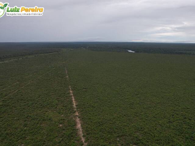 #2576 - Fazenda para Venda em Cuiabá - MT - 3