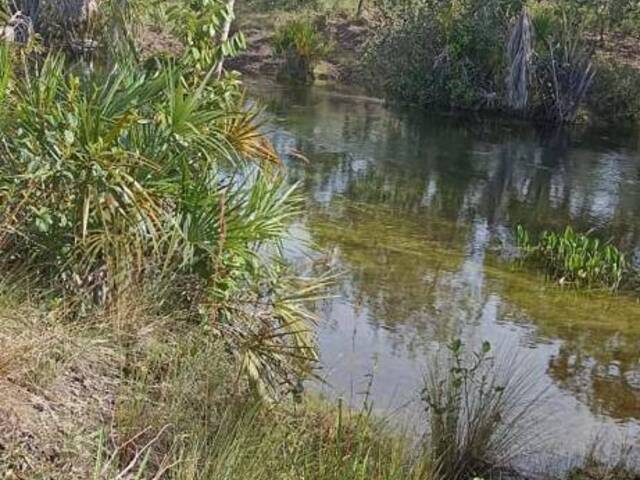 #2588 - Fazenda para Venda em Formosa do Rio Preto - BA - 2