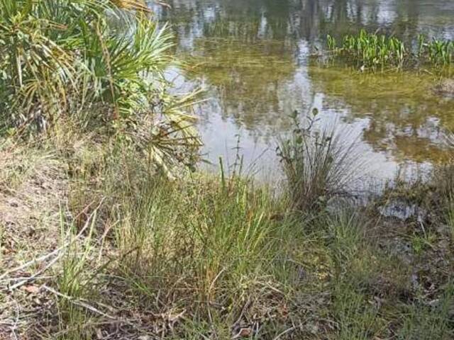 #2588 - Fazenda para Venda em Formosa do Rio Preto - BA - 3