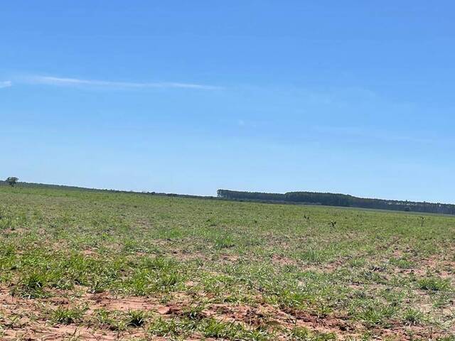 #2602 - Fazenda para Venda em Primavera do Leste - MT - 3