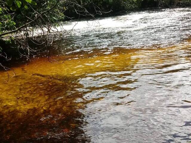 #2608 - Fazenda para Venda em Guarantã do Norte - MT - 2