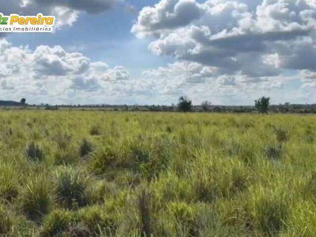 #2632 - Fazenda para Venda em Rio Maria - PA - 3