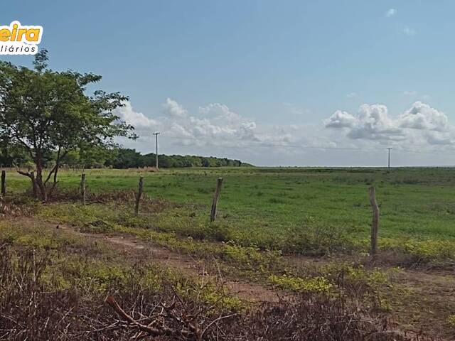 #2681 - Fazenda para Venda em São Francisco do Maranhão - MA - 3