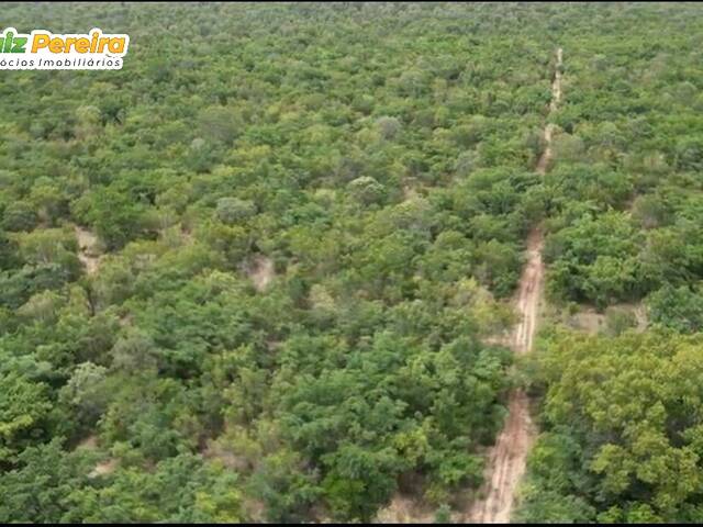 #2692 - Fazenda para Venda em Loreto - MA - 2