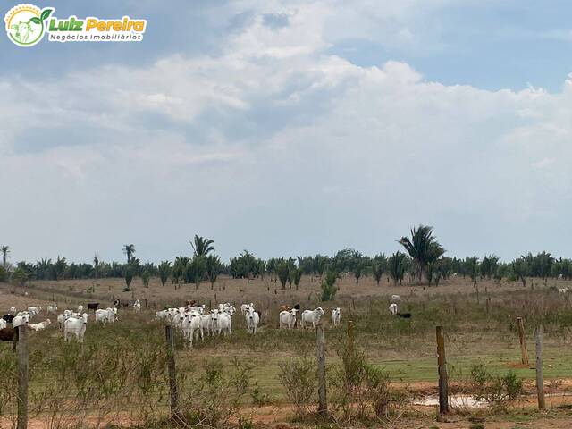 #2720 - Fazenda para Venda em Rio Maria - PA - 3