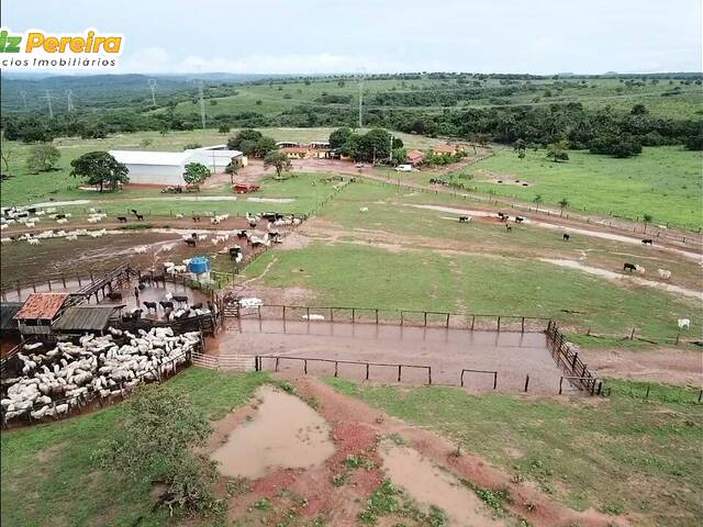 #2731 - Fazenda para Venda em Tesouro - MT - 2