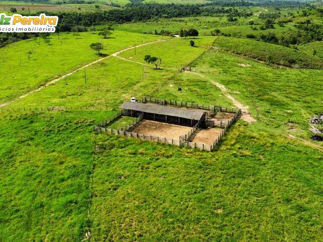 #2748 - Fazenda para Venda em Rondon - PR - 3