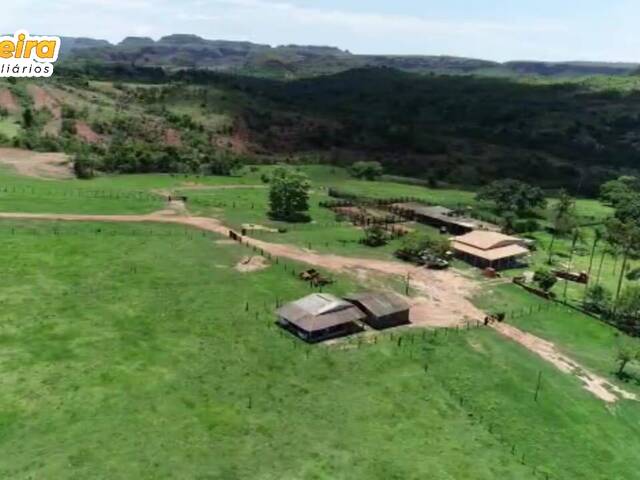 #2891 - Fazenda para Venda em Rondonópolis - MT - 3