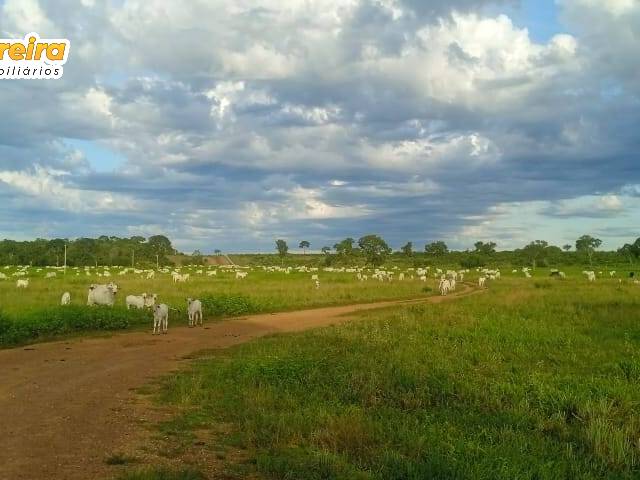 #2895 - Fazenda para Venda em Formoso do Araguaia - TO - 1