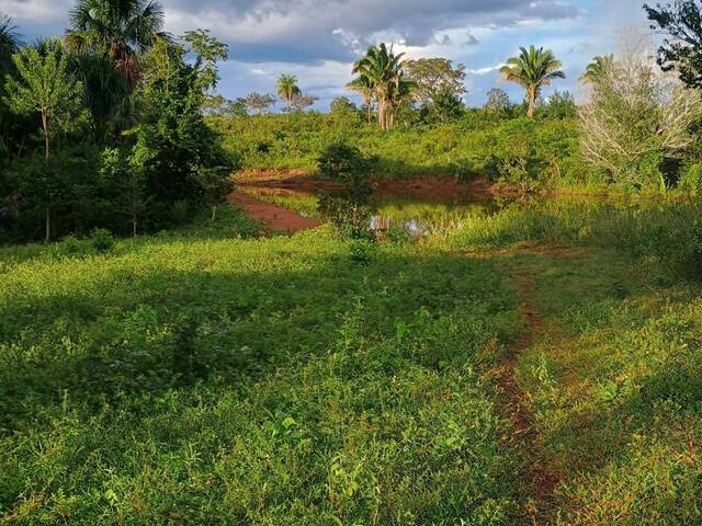 #2897 - Fazenda para Venda em Araguaína - TO - 2