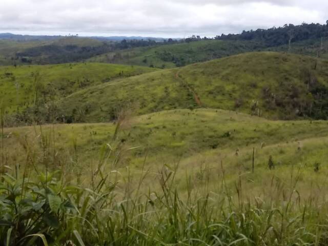#2900 - Fazenda para Venda em Pacajá - PA - 3