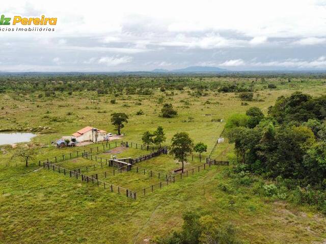 #2901 - Fazenda para Venda em Floresta do Araguaia - PA - 1
