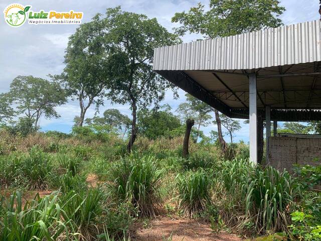 #2912 - Fazenda para Venda em Ribas do Rio Pardo - MS - 3