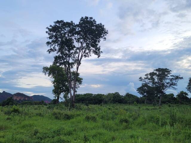 #2922 - Fazenda para Venda em Alto Araguaia - MT - 2
