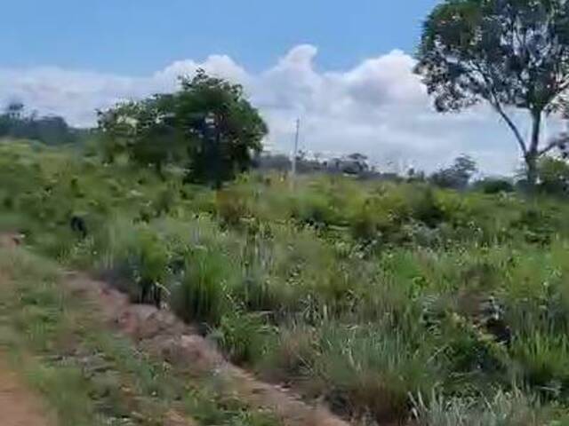#2941 - Fazenda para Venda em Goianésia do Pará - PA - 2