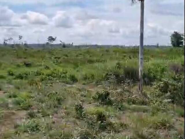 #2941 - Fazenda para Venda em Goianésia do Pará - PA - 3