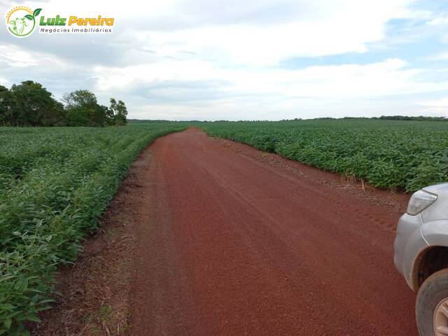 #2945 - Fazenda para Venda em Pedro Afonso - TO - 3