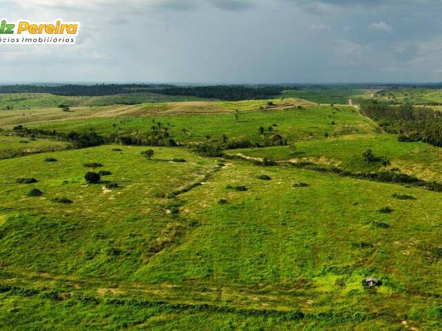 #2946 - Fazenda para Venda em Jacundá - PA - 1