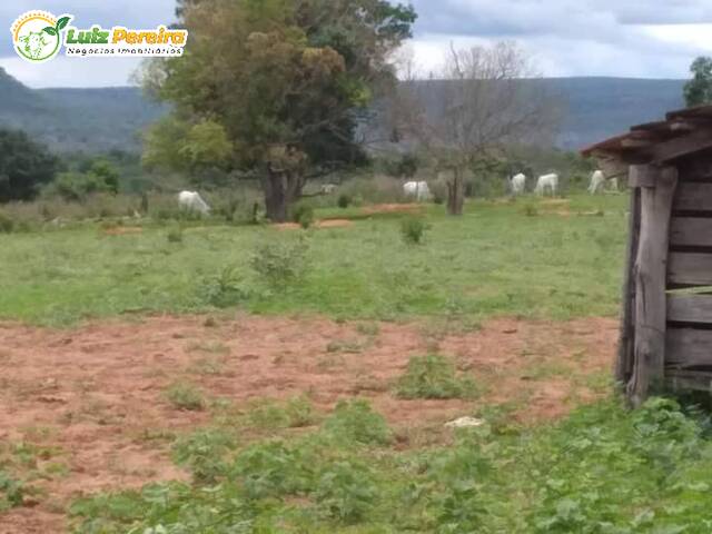 #2947 - Fazenda para Venda em Alto Araguaia - MT - 1