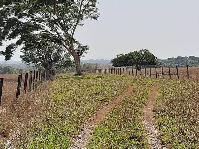 #2949 - Fazenda para Venda em Santa Vitória - MG - 2