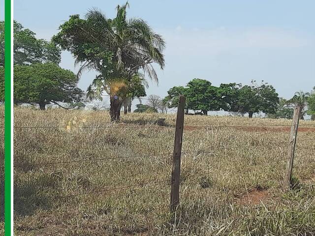 #2949 - Fazenda para Venda em Santa Vitória - MG - 3