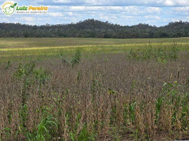 #2950 - Fazenda para Venda em Sítio Novo - MA - 1