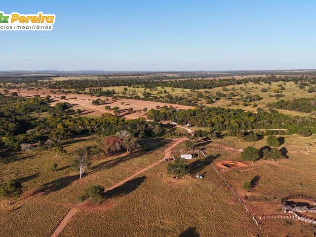 #2951 - Fazenda para Venda em Corguinho - MS - 1