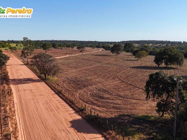 #2951 - Fazenda para Venda em Corguinho - MS - 3