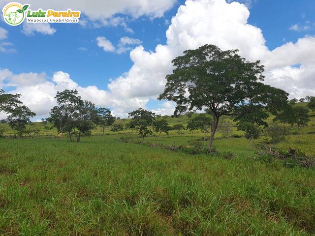 #2952 - Fazenda para Venda em Figueirão - MS - 3