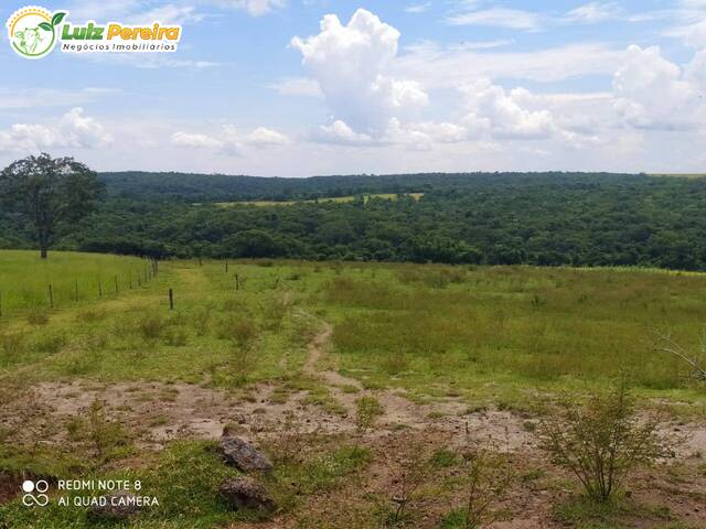 Venda em Zona Rural - Sidrolândia