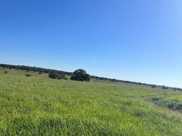 Venda em Zona Rural - Paraíso das Águas