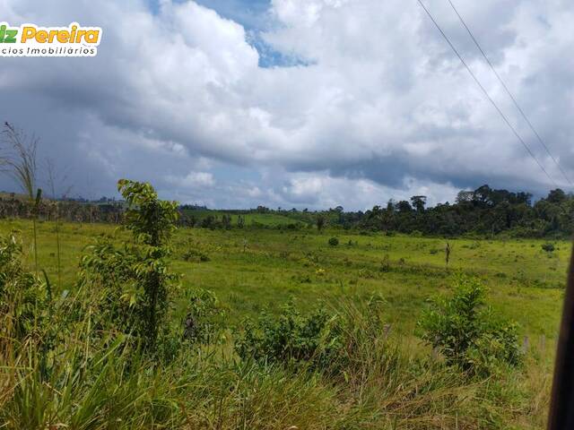 #2956 - Fazenda para Venda em Pacajá - PA - 1